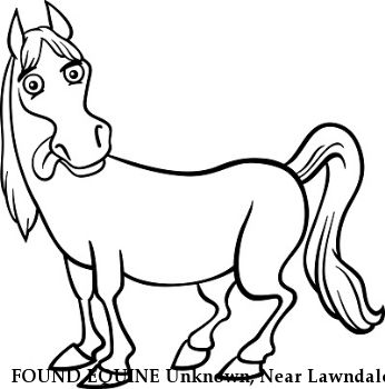 FOUND EQUINE Unknown, Near Lawndale, NC, 28090